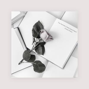 3p一女两男三飞做爰
